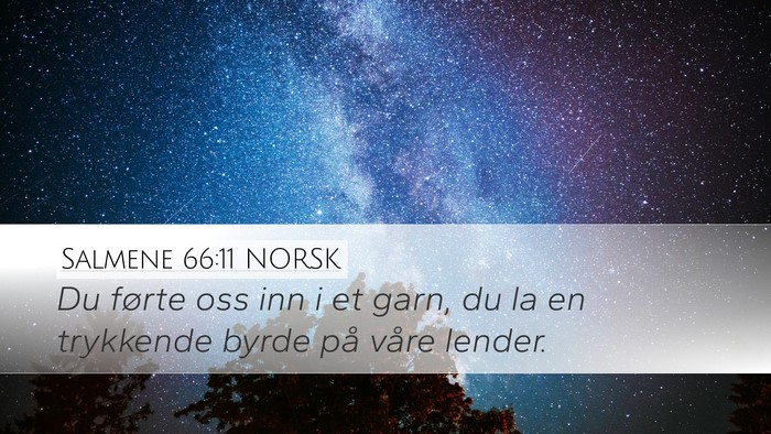 Salmene 66:11 NORSK Bible Verse Image