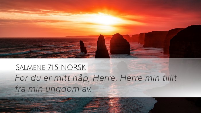 Salmene 71:5 NORSK Bible Verse Image