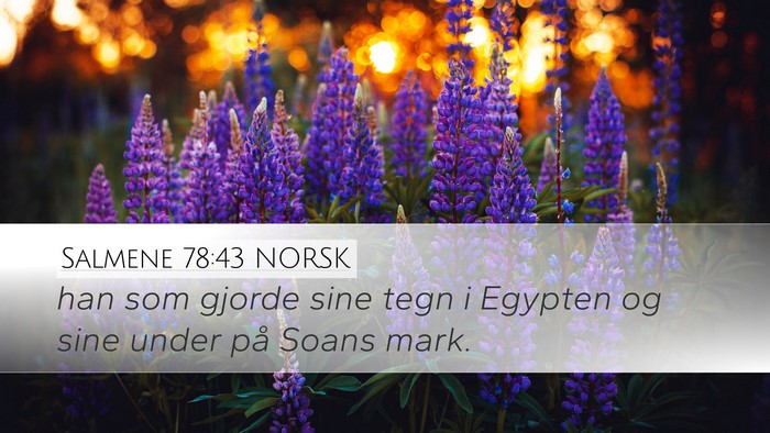 Salmene 78:43 NORSK Bible Verse Image