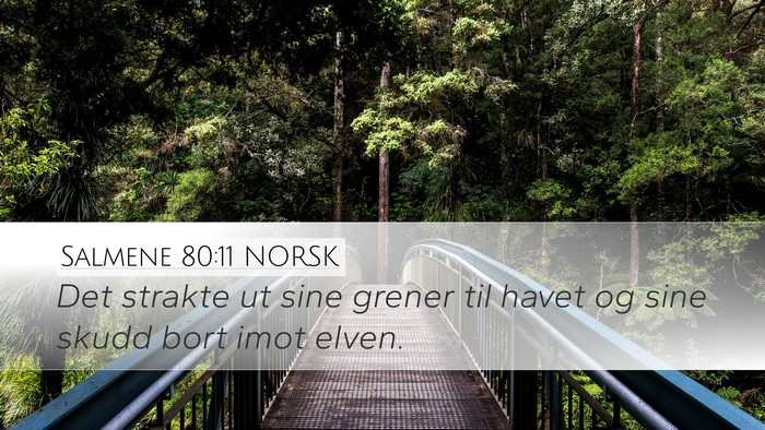 Salmene 80:11 NORSK Bible Verse Image