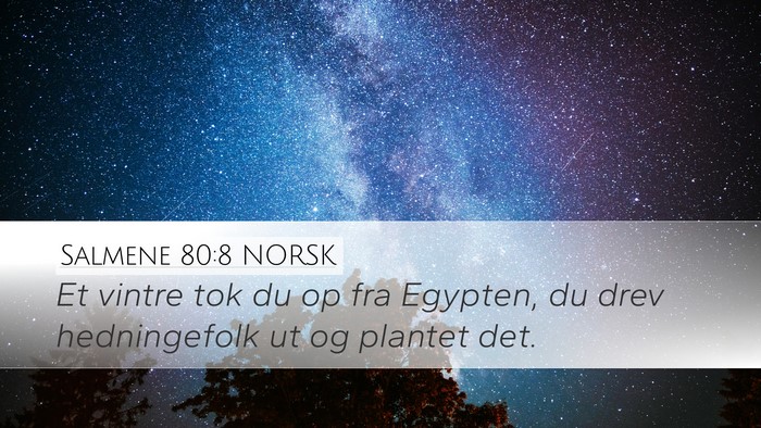 Salmene 80:8 NORSK Bible Verse Image