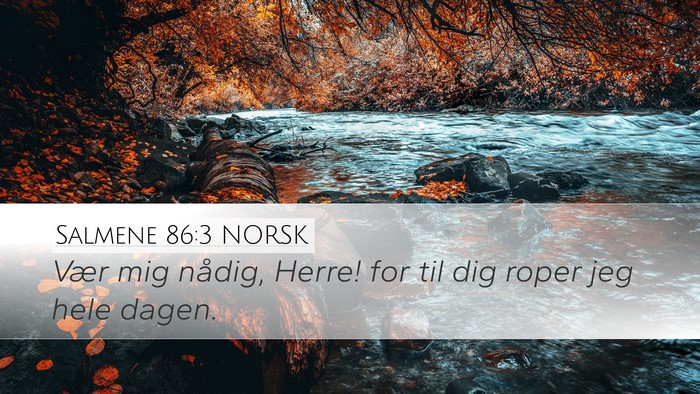 Salmene 86:3 NORSK Desktop Wallpaper - Vær mig nådig, Herre! for til dig roper jeg - Desktop Bible Verse Wallpaper