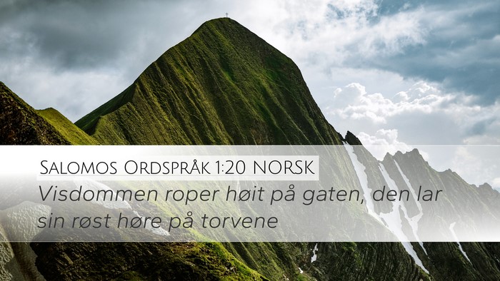 Salomos Ordspråk 1:20 NORSK Bible Verse Image