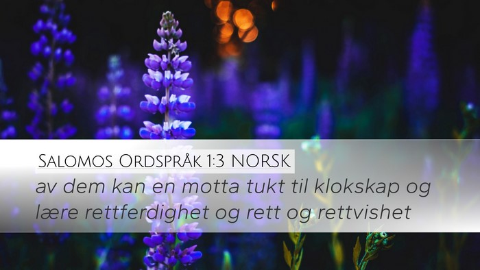 Salomos Ordspråk 1:3 NORSK Bible Verse Image