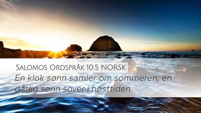Salomos Ordspråk 10:5 NORSK Bible Verse Image