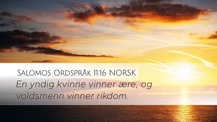 Salomos Ordspråk 11:16 NORSK Desktop Wallpaper - En yndig kvinne vinner ære, og voldsmenn vinner - Desktop Bible Verse Wallpaper