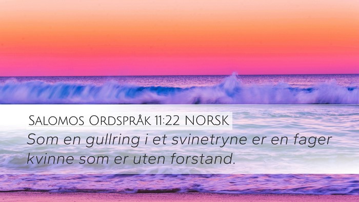 Salomos Ordspråk 11:22 NORSK Desktop Wallpaper - Som en gullring i et svinetryne er en fager - Desktop Bible Verse Wallpaper