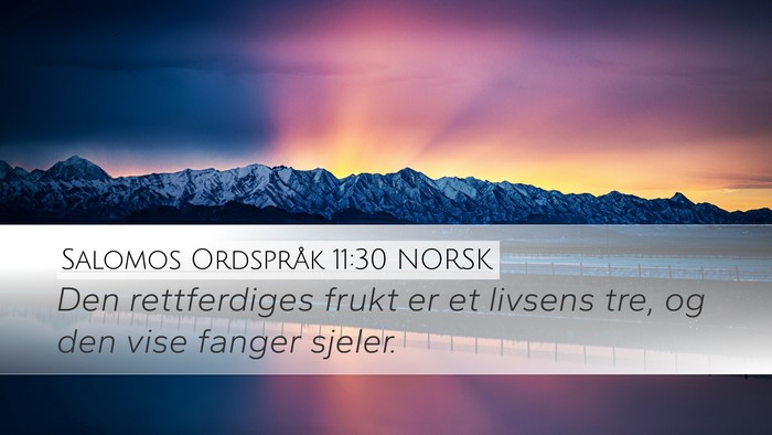 Salomos Ordspråk 11:30 NORSK Bible Verse Image