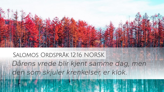 Salomos Ordspråk 12:16 NORSK Bible Verse Image