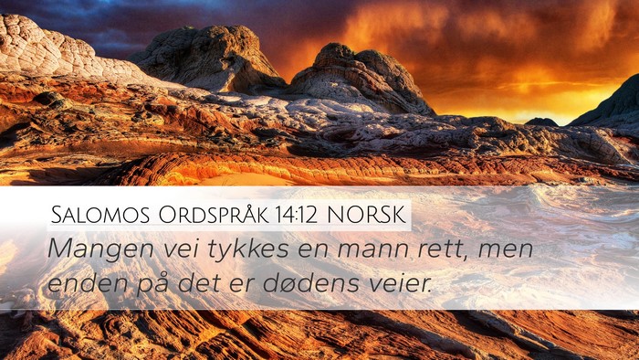 Salomos Ordspråk 14:12 NORSK Bible Verse Image