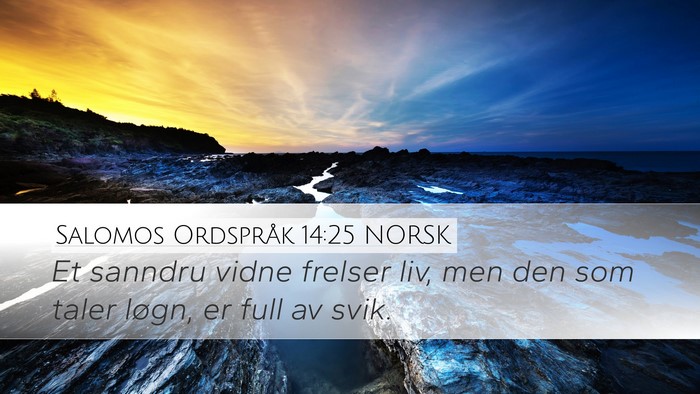 Salomos Ordspråk 14:25 NORSK Bible Verse Image