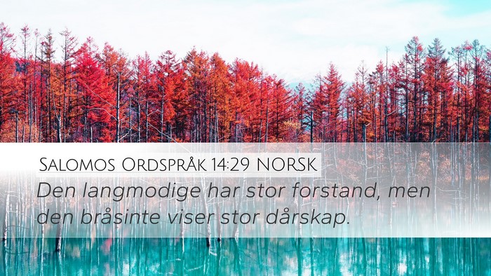 Salomos Ordspråk 14:29 NORSK Bible Verse Image