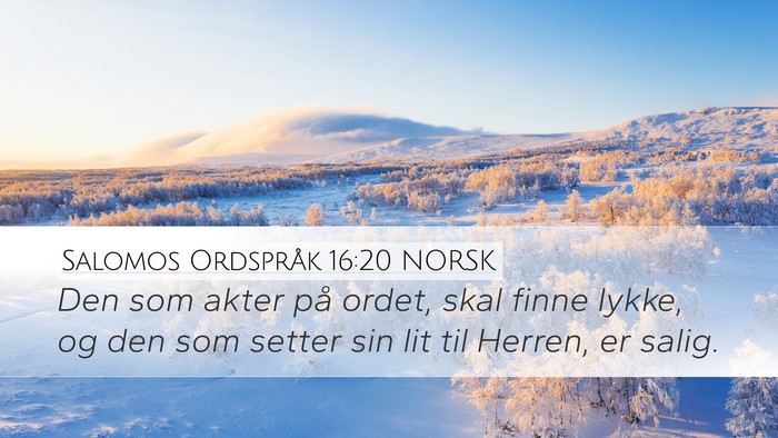 Salomos Ordspråk 16:20 NORSK Bible Verse Image