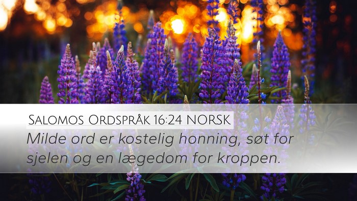 Salomos Ordspråk 16:24 NORSK Bible Verse Image