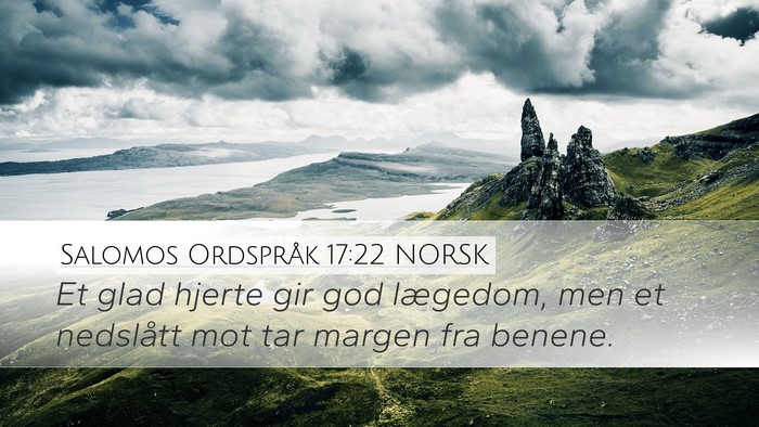 Salomos Ordspråk 17:22 NORSK Bible Verse Image