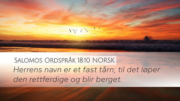 Salomos Ordspråk 18:10 NORSK Bible Verse Image