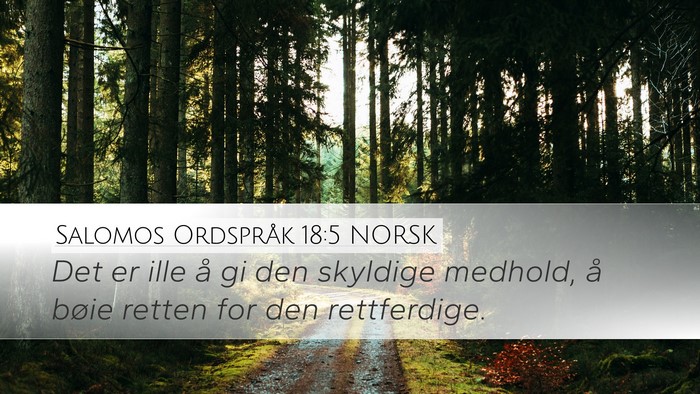 Salomos Ordspråk 18:5 NORSK Bible Verse Image