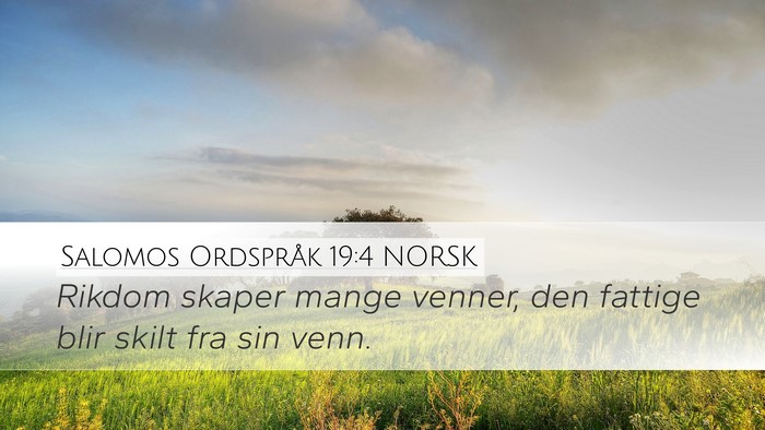 Salomos Ordspråk 19:4 NORSK Bible Verse Image