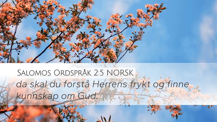 Salomos Ordspråk 2:5 NORSK Bible Verse Image