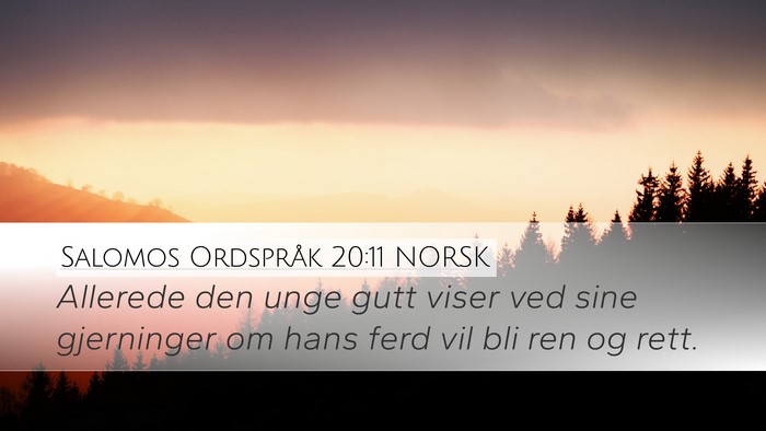 Salomos Ordspråk 20:11 NORSK Bible Verse Image