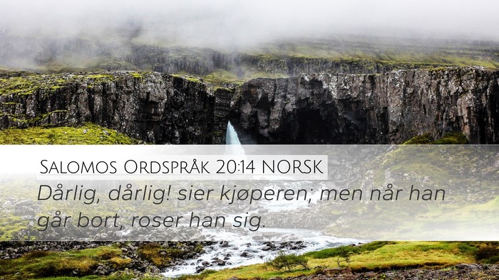 Salomos Ordspråk 20:14 NORSK Bible Verse Image