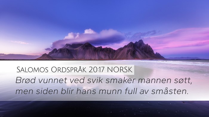 Salomos Ordspråk 20:17 NORSK Bible Verse Image