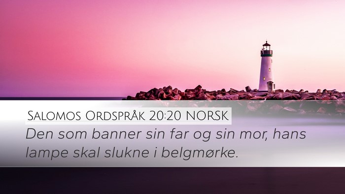 Salomos Ordspråk 20:20 NORSK Bible Verse Image