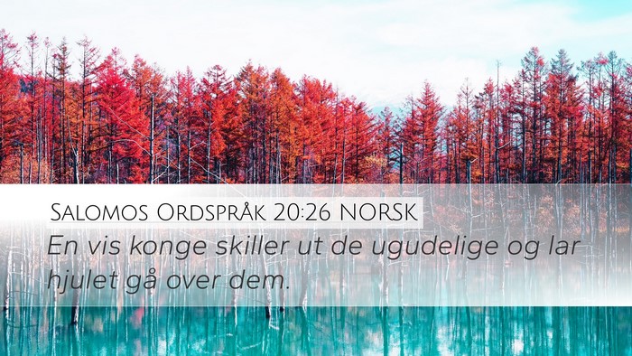 Salomos Ordspråk 20:26 NORSK Bible Verse Image