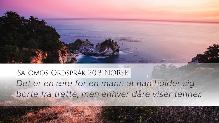 Salomos Ordspråk 20:3 NORSK Bible Verse Image