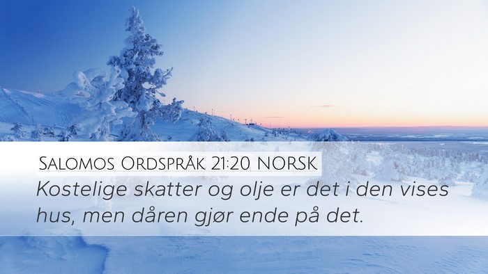 Salomos Ordspråk 21:20 NORSK Bible Verse Image