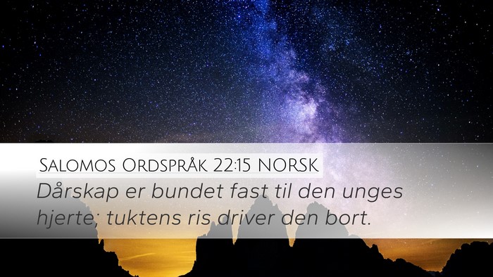 Salomos Ordspråk 22:15 NORSK Bible Verse Image