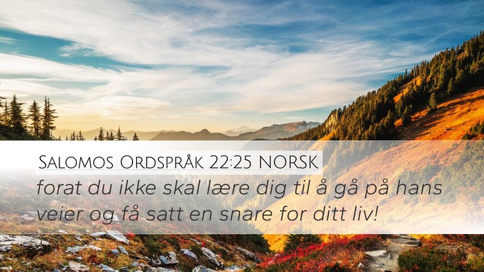 Salomos Ordspråk 22:25 NORSK Desktop Wallpaper - forat du ikke skal lære dig til å gå på hans - Desktop Bible Verse Wallpaper