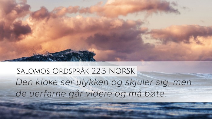 Salomos Ordspråk 22:3 NORSK Bible Verse Image