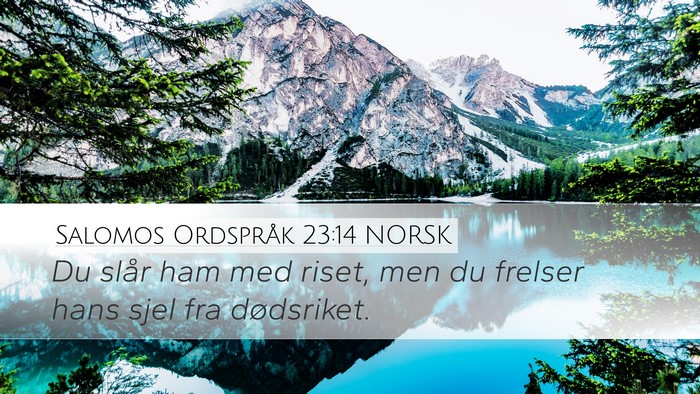 Salomos Ordspråk 23:14 NORSK Bible Verse Image