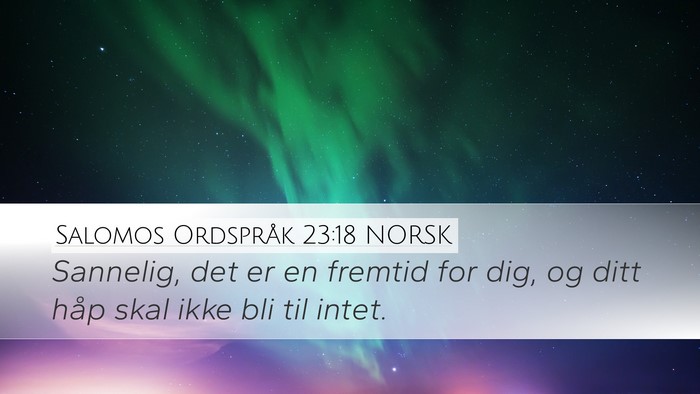 Salomos Ordspråk 23:18 NORSK Bible Verse Image