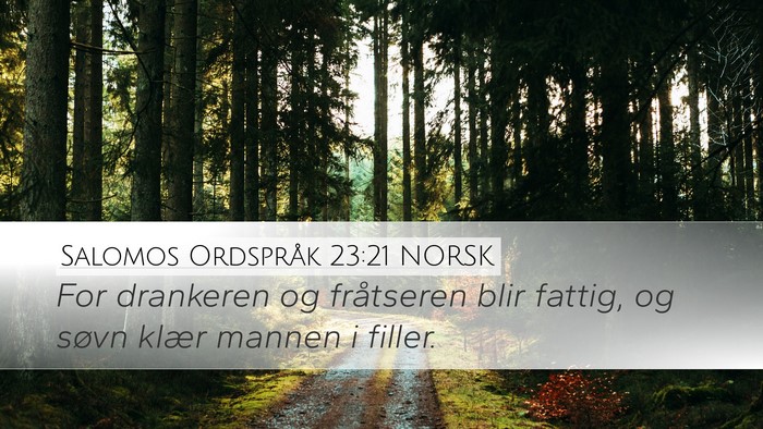 Salomos Ordspråk 23:21 NORSK Bible Verse Image