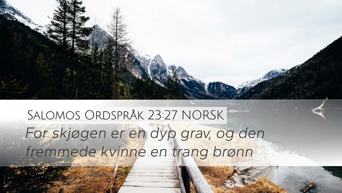 Salomos Ordspråk 23:27 NORSK Bible Verse Image