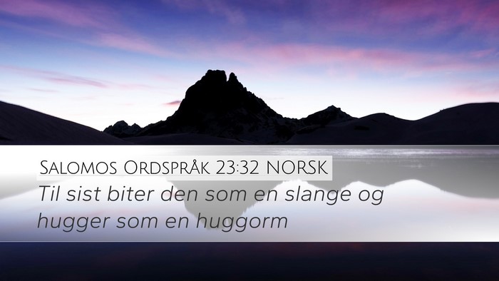 Salomos Ordspråk 23:32 NORSK Bible Verse Image