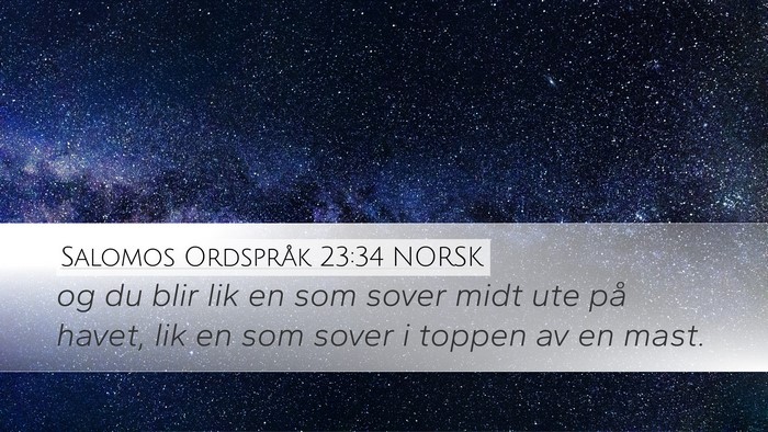 Salomos Ordspråk 23:34 NORSK Bible Verse Image