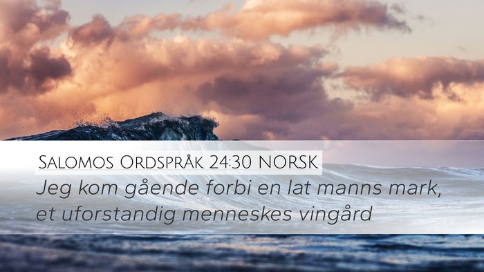 Salomos Ordspråk 24:30 NORSK Bible Verse Image