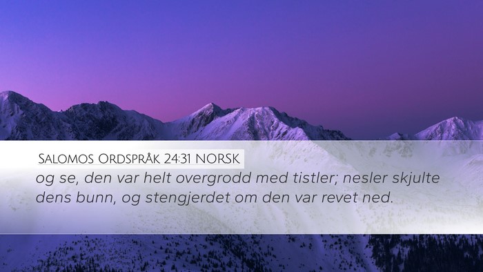 Salomos Ordspråk 24:31 NORSK Desktop Wallpaper - og se, den var helt overgrodd med tistler; nesler - Desktop Bible Verse Wallpaper