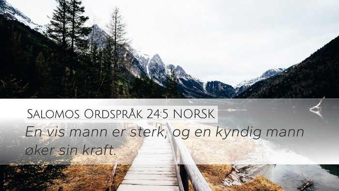 Salomos Ordspråk 24:5 NORSK Bible Verse Image