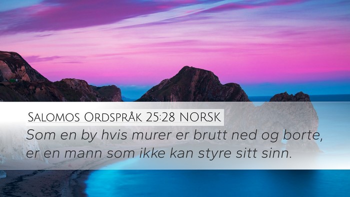 Salomos Ordspråk 25:28 NORSK Bible Verse Image