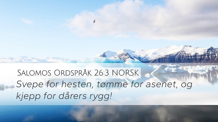 Salomos Ordspråk 26:3 NORSK Bible Verse Image