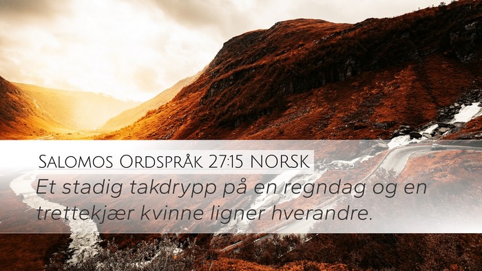 Salomos Ordspråk 27:15 NORSK Bible Verse Image