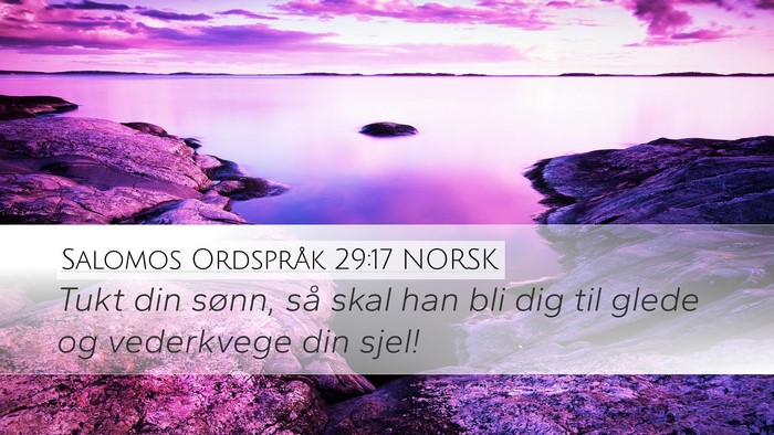 Salomos Ordspråk 29:17 NORSK Bible Verse Image