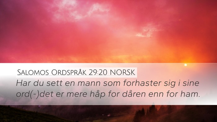 Salomos Ordspråk 29:20 NORSK Bible Verse Image