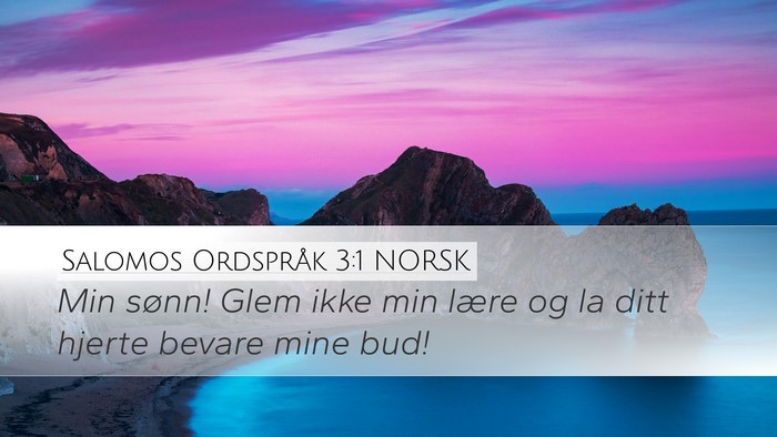 Salomos Ordspråk 3:1 NORSK Bible Verse Image