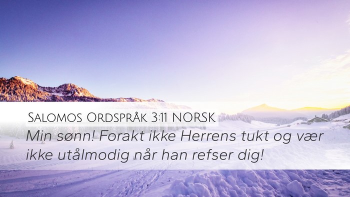 Salomos Ordspråk 3:11 NORSK Bible Verse Image
