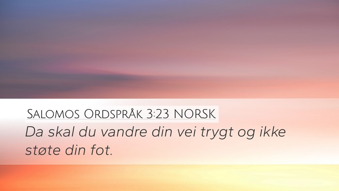 Salomos Ordspråk 3:23 NORSK Bible Verse Image